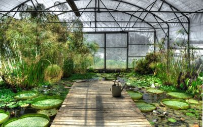 Comfort ambientale: alcune definizioni